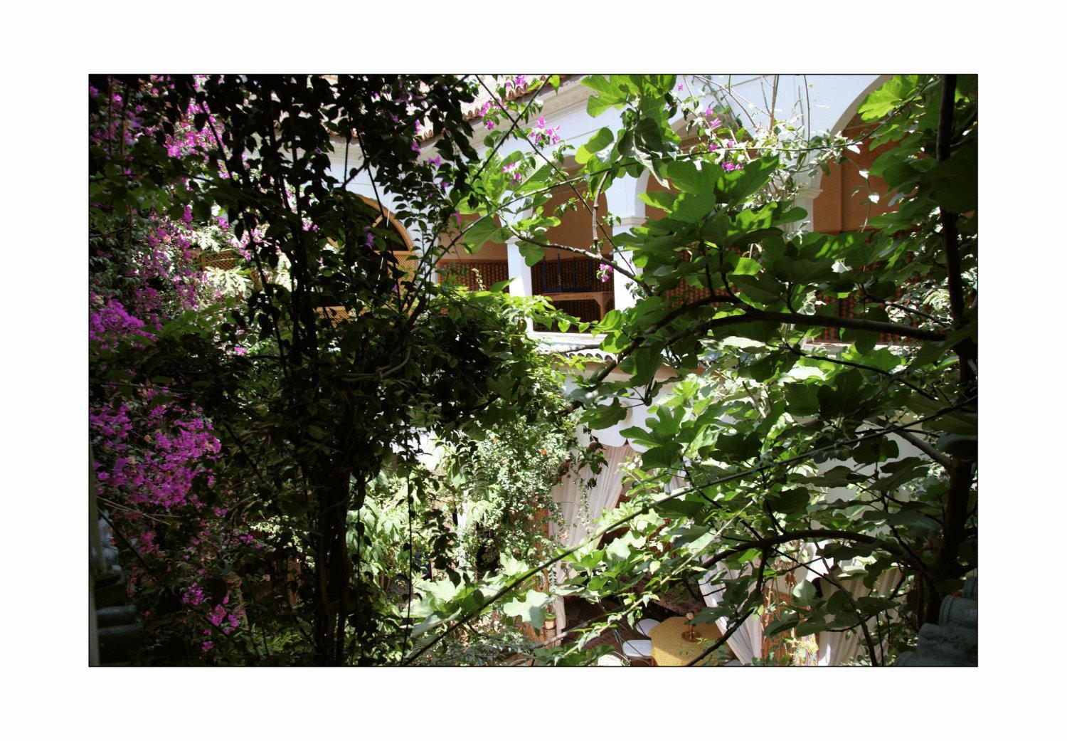 Riad Maryam Taroudant Eksteriør billede